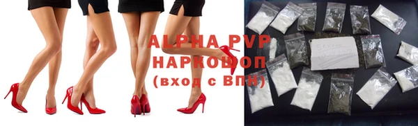 тгк Белокуриха