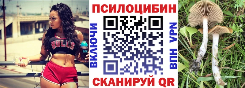 Галлюциногенные грибы мухоморы  маркетплейс Telegram  Воскресенск 